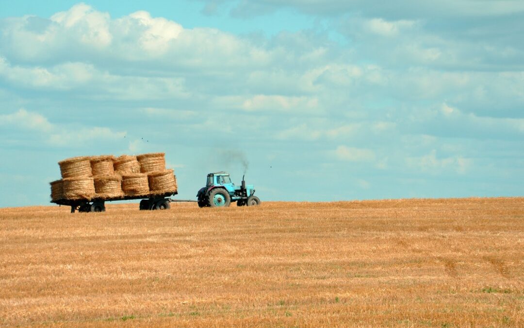 SUPERVISAN QUE SE CUMPLAN NORMAS LABORALES EN CENTROS DE TRABAJOS AGRÍCOLAS