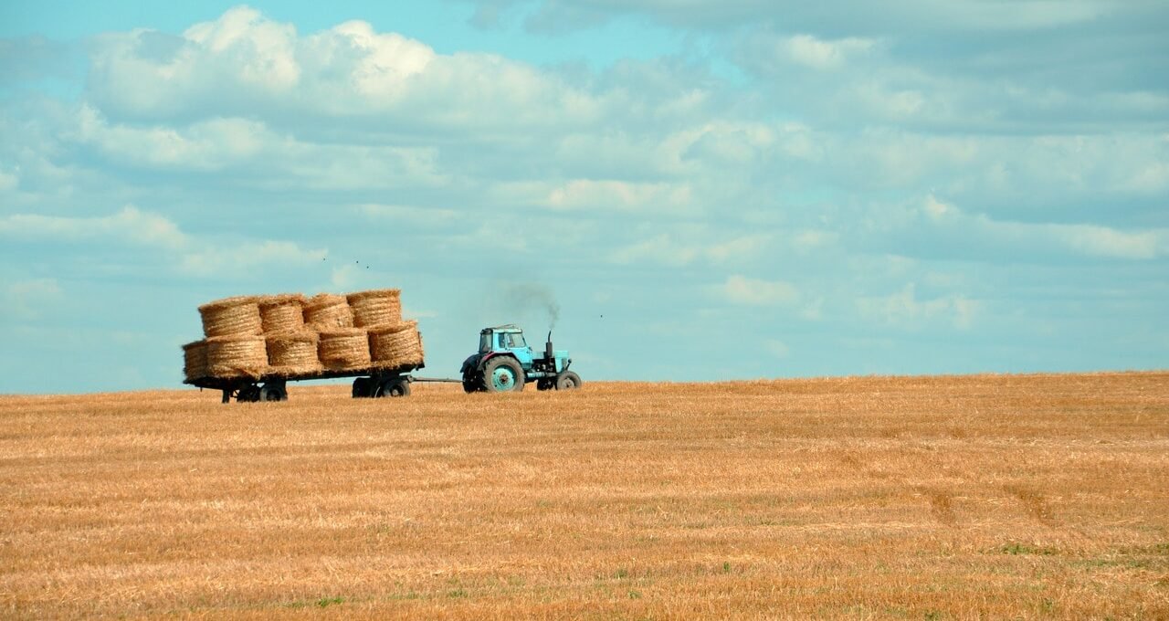SUPERVISAN QUE SE CUMPLAN NORMAS LABORALES EN CENTROS DE TRABAJOS AGRÍCOLAS
