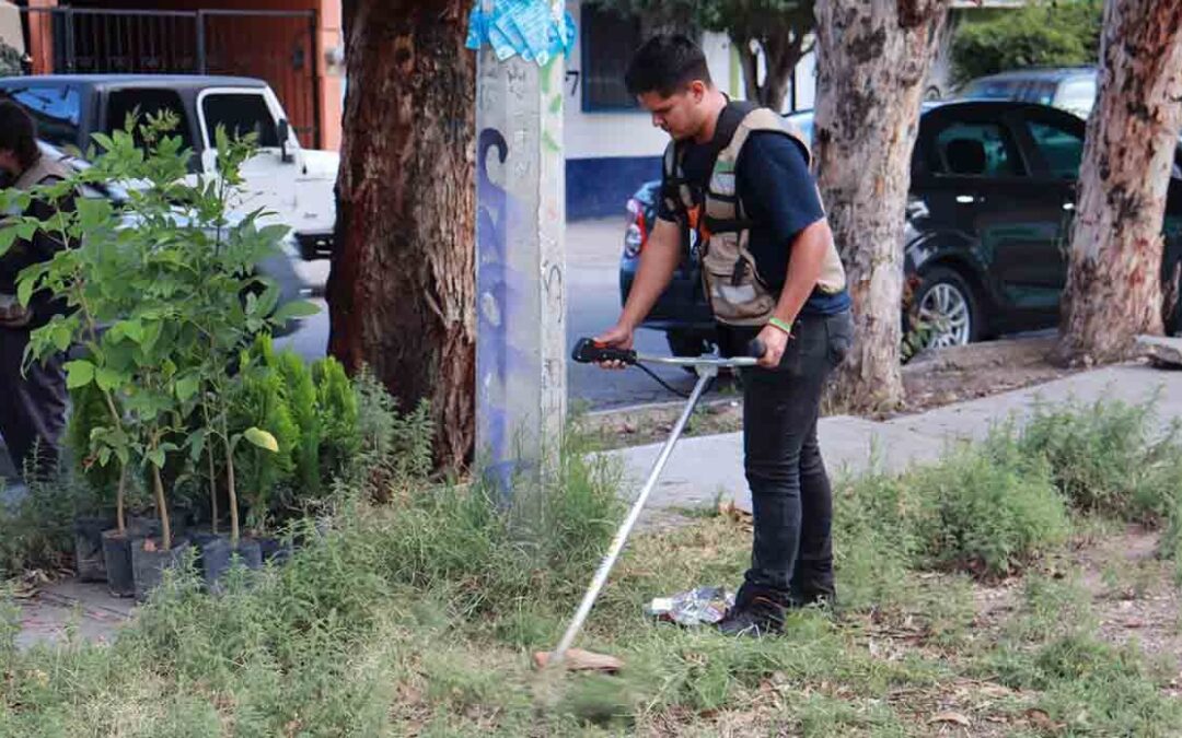 REALIZAN LIMPIEZA DE ÁREAS VERDES EN COLONIAS DE SLP