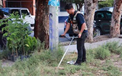 REALIZAN LIMPIEZA DE ÁREAS VERDES EN COLONIAS DE SLP