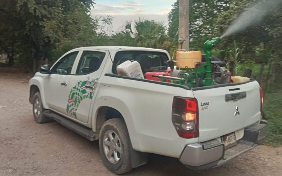 CONTINUAN FUMIGACIONES EN LA HUASTECA ANTE PRESENCIA DEL MOSQUITO TRASMISOR DEL DENGUE