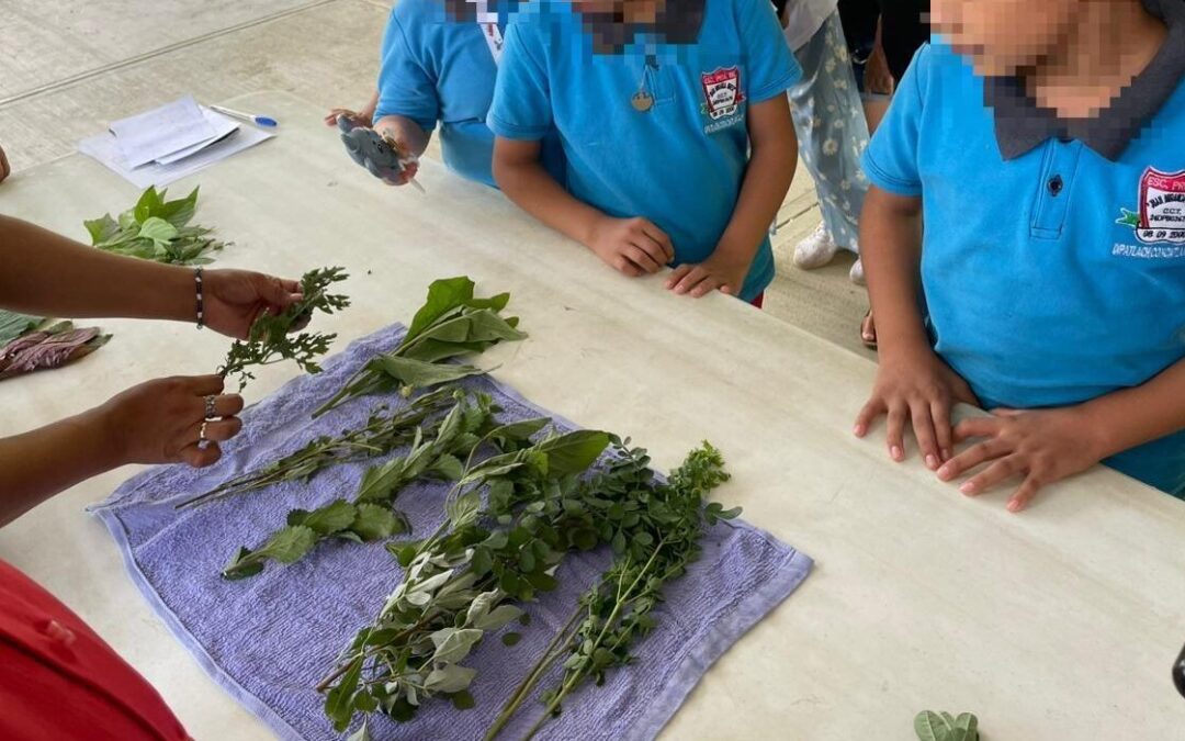 PROMUEVEN LA MEDICINA TRADICIONAL ENTRE JÓVENES PUEBLOS ORIGINARIOS