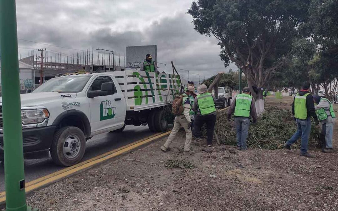 REALIZAN LIMPIEZA EN CARRETERA 57 EN LA SALIDA A MATEHUALA