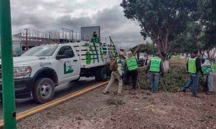 REALIZAN LIMPIEZA EN CARRETERA 57 EN LA SALIDA A MATEHUALA