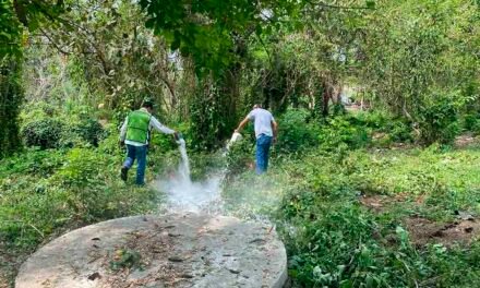 AUMENTAN SANEAMIENTO CONTRA DENGUE, ZIKA Y CHIKUNGUNYA