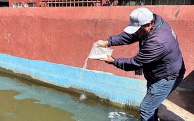 IMPLEMENTAN OPERATIVO DE CONTROL SANITARIO POR DÍA DE MUERTOS