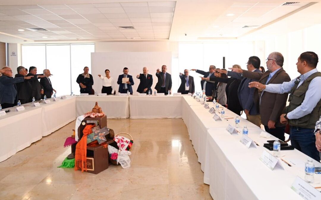 TOMAN PROTESTA A MIEMBROS DEL CONSEJO TÉCNICO CONSULTIVO DE MINERÍA