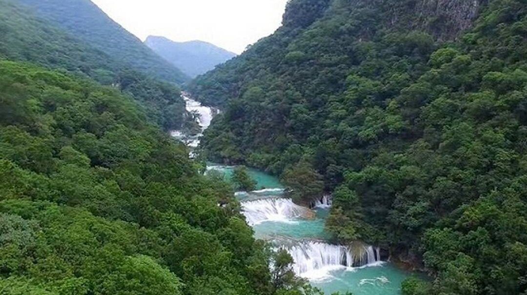 PROMUEVEN EDUCACIÓN AMBIENTAL EN ESCUELAS DE LAS CUATRO REGIONES