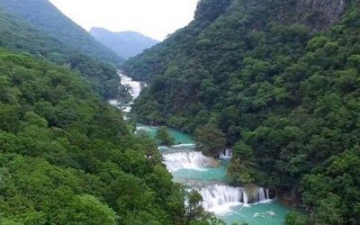 PROMUEVEN EDUCACIÓN AMBIENTAL EN ESCUELAS DE LAS CUATRO REGIONES