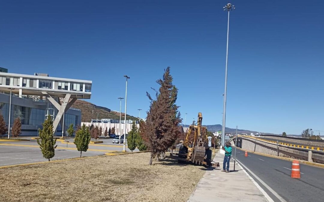 REFORESTARÁN EL CENTRO DE CONVENCIONES DE SLP