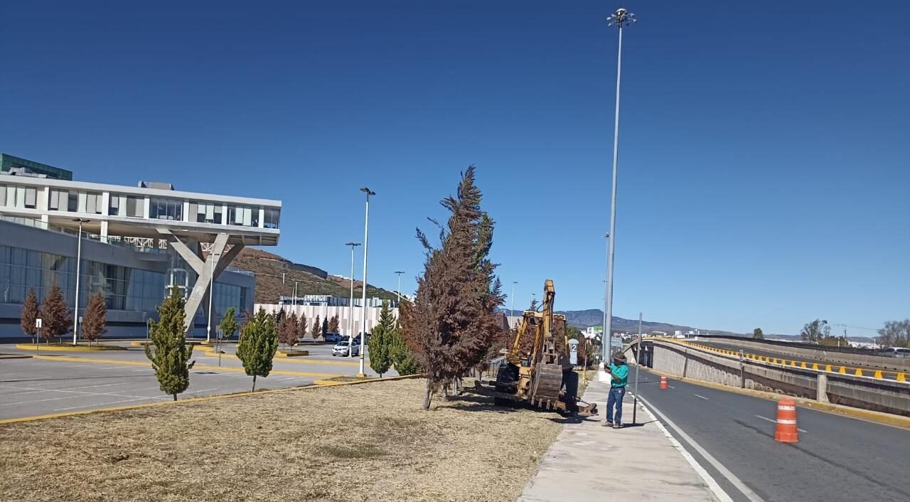 REFORESTARÁN EL CENTRO DE CONVENCIONES DE SLP