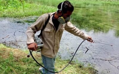 INCREMENTAN ACCIONES DE PREVENCIÓN Y COMBATE DEL DENGUE