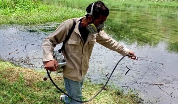 INCREMENTAN ACCIONES DE PREVENCIÓN Y COMBATE DEL DENGUE