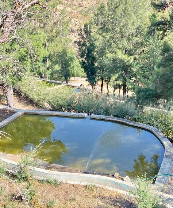 CENTRO ACUÍCOLA EL PEAJE SERÁ REACTIVADO