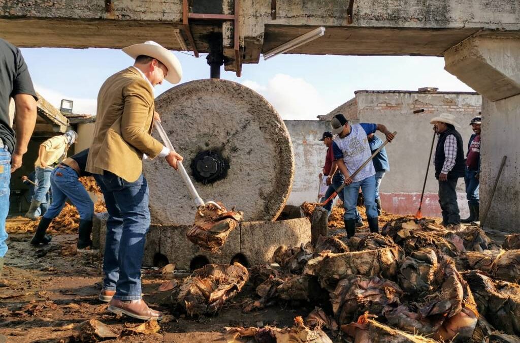 MEZCALES POTOSINOS RECIBEN MEDALLAS EN COMPETENCIAS INTERNACIONALES