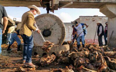 MEZCALES POTOSINOS RECIBEN MEDALLAS EN COMPETENCIAS INTERNACIONALES