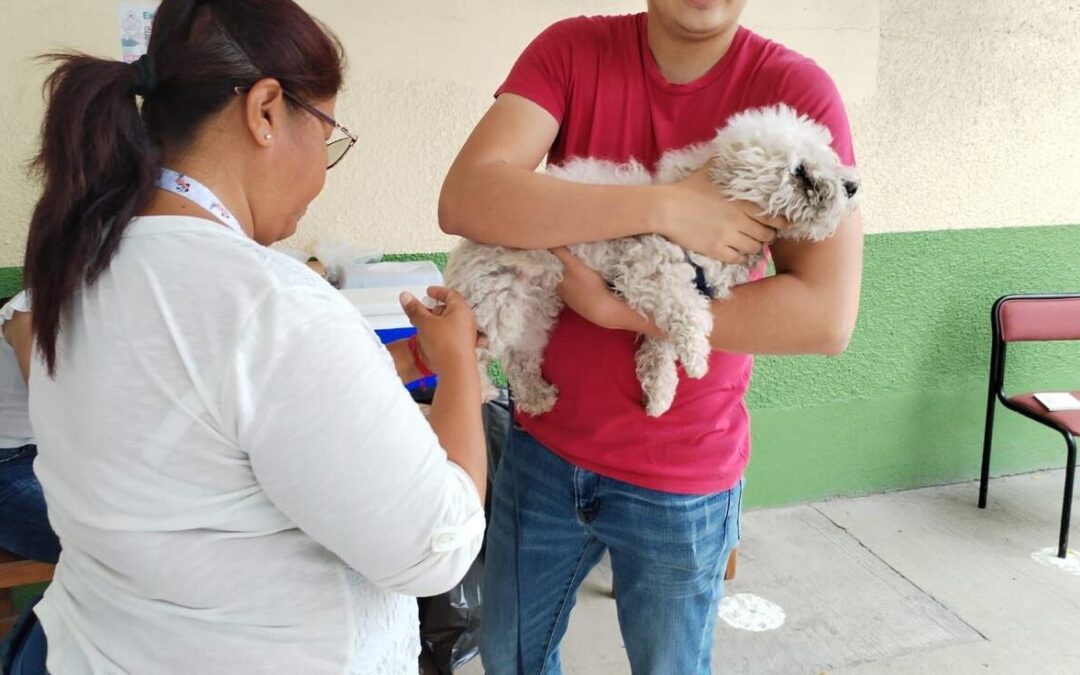 REALIZAN CAMPAÑA DE VACUNACIÓN ANTIRRÁBICA PARA MASCOTAS