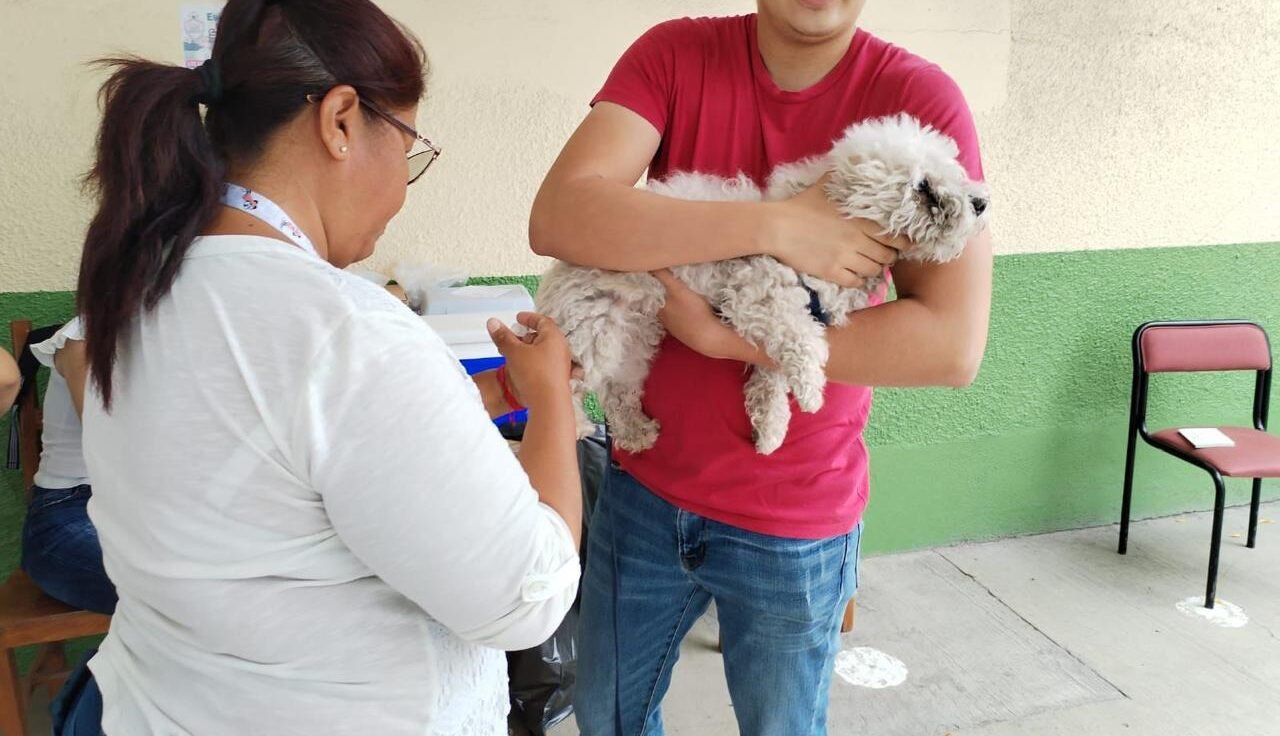 REALIZAN CAMPAÑA DE VACUNACIÓN ANTIRRÁBICA PARA MASCOTAS