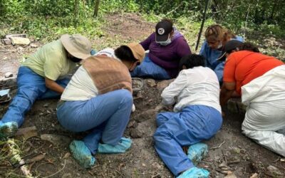 BUSCADORES ENCUENTRAN CADÁVER DE UNA PERSONA EN ZONA DE EXTERMINIO DE CIUDAD VALLES 