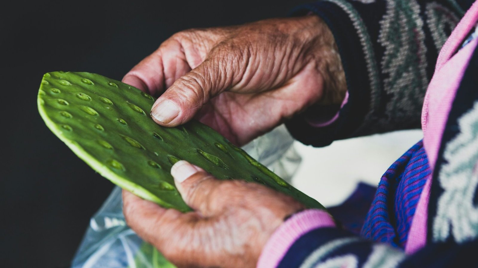 PROMUEVEN PRODUCCIÓN DE NOPAL PARA AUTOCONSUMO Y FORRAJERO
