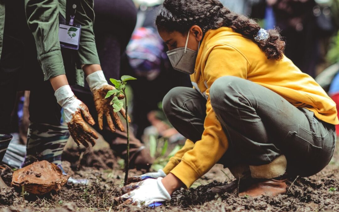 PROYECTAN REFORESTACIÓN EN TODAS LAS ESCUELAS DE SLP