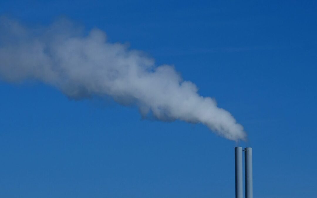 PROMUEVEN POLÍTICAS PÚBLICAS EN FAVOR DEL MEDIO AMBIENTE