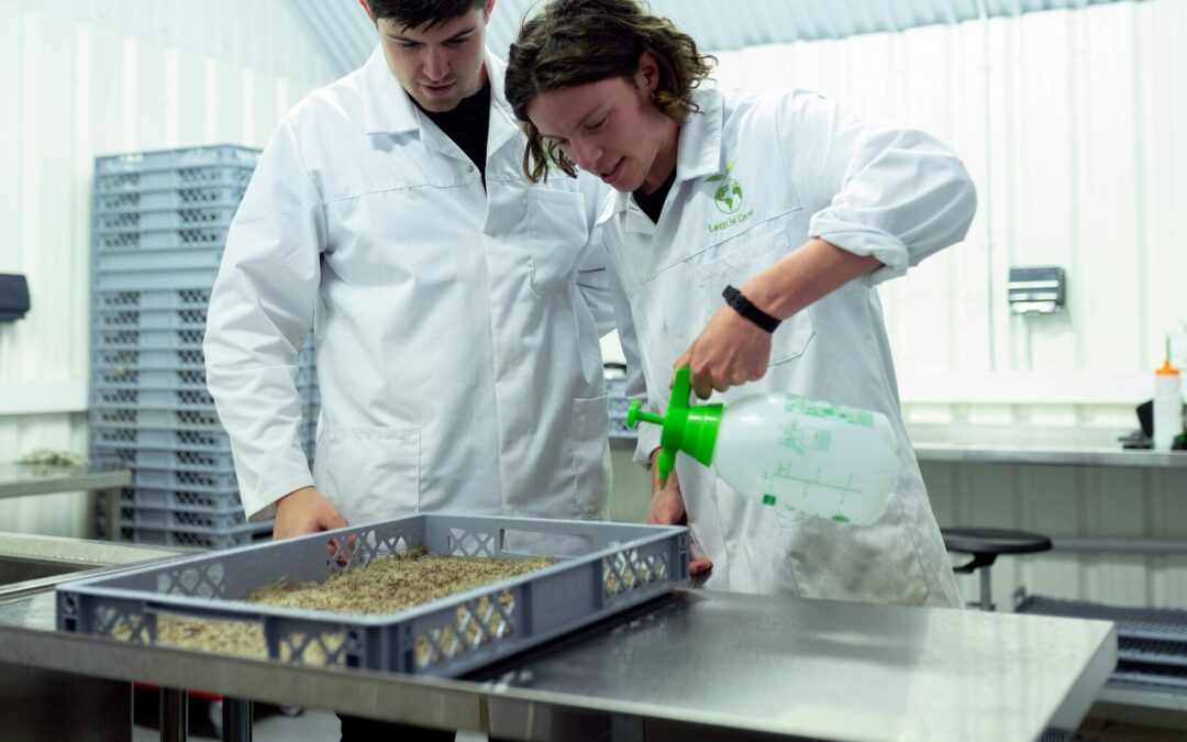 FERIA POTOSINA DE CIENCIAS E INGENIERÍAS SERÁ ESTE 28 DE NOVIEMBRE