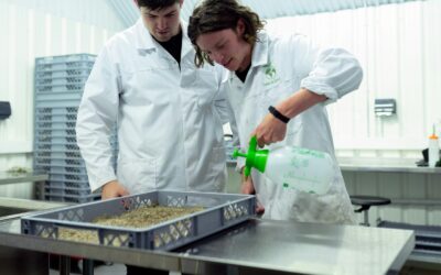 FERIA POTOSINA DE CIENCIAS E INGENIERÍAS SERÁ ESTE 28 DE NOVIEMBRE