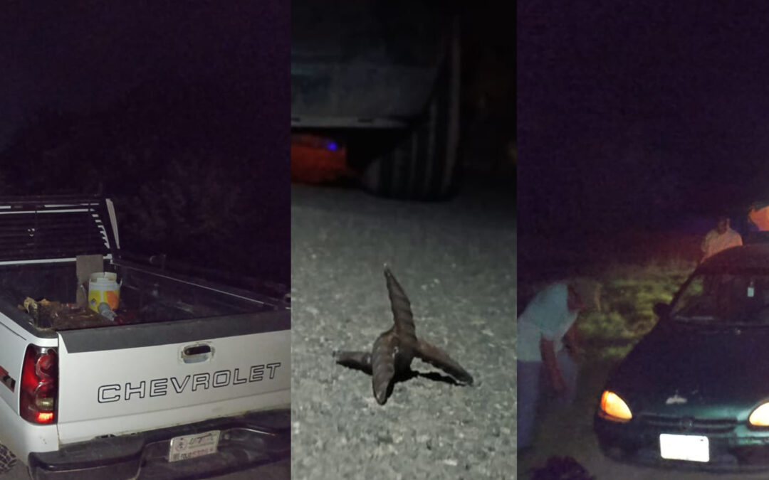 CIVILES VÍCTIMAS DE LA DELINCUENCIA EN CARRETERA DE CIUDAD VALLES