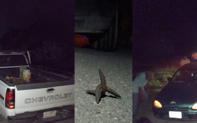 CIVILES VÍCTIMAS DE LA DELINCUENCIA EN CARRETERA DE CIUDAD VALLES