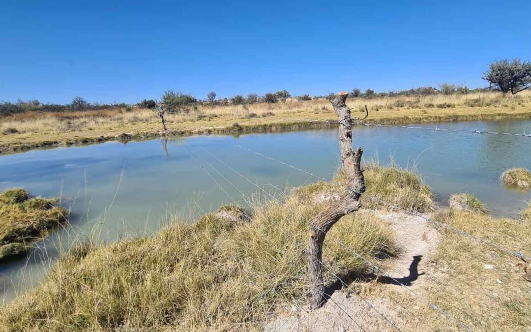 FOMENTAN CUIDADO DE ESPECIES SILVESTRES QUE HABITAN EN LA REGIÓN WIXARICA DE SLP