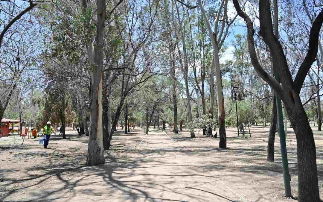 CONTINÚAN TRABAJOS DE REHABILITACIÓN EN PARQUE MORALES