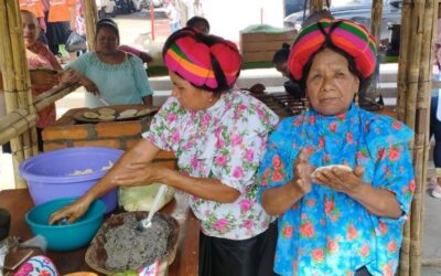 EN 2024, SE BUSCÓ PROMOVER LA CULTURA E IDENTIDAD DE LOS PUEBLOS ORIGINARIOS 