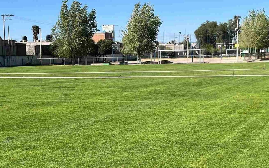 BRINDARÁN MANTENIMIENTO A CAMPOS DE UNIDADES DEPORTIVAS DEL ESTADO