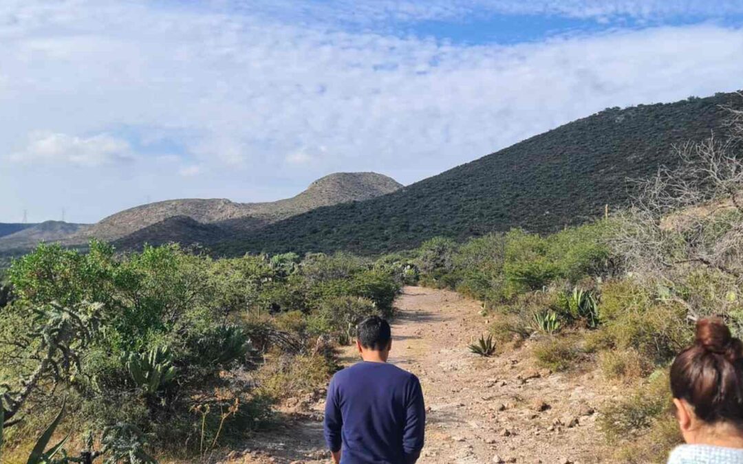 ESTADO Y ASOCIACIONES BUSCARÁN REFORESTAR SIERRA DE ÁLVAREZ