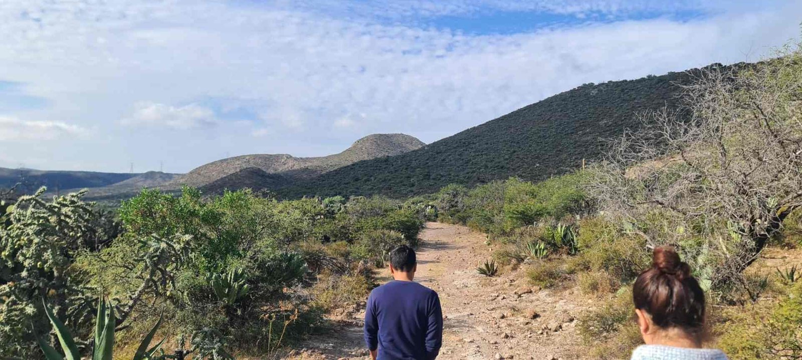 ESTADO Y ASOCIACIONES BUSCARÁN REFORESTAR SIERRA DE ÁLVAREZ