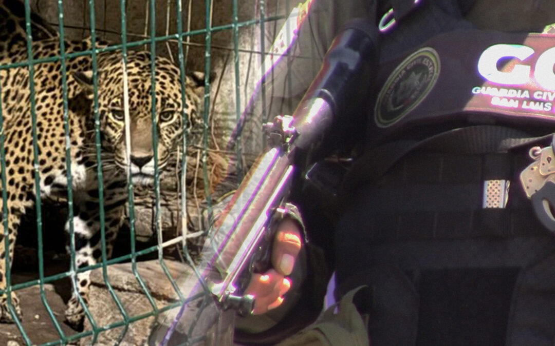 CATEAN PROPIEDAD DE OPERADOR POLÍTICO EN TANCANHUITZ; AVANZAN INVESTIGACIONES POR ASESINATO DEL ALCALDE