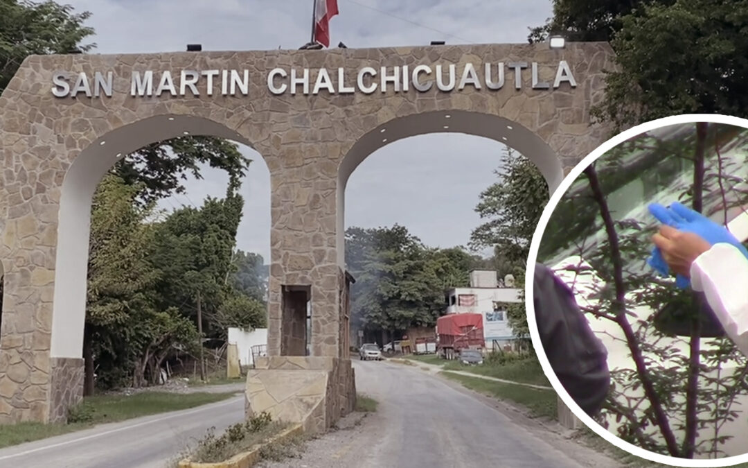 PROBABLE FEMINICIDIO: MUERTE DE LA ESTUDIANTE DE SECUNDARIA EN SAN MARTÍN CHALCHICUAUTLA