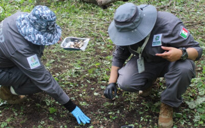 RESTOS HUMANOS SE ENCONTRARON «EN FOSA Y EN SUPERFICIE», EN LA FINCA DE GUADALCÁZAR