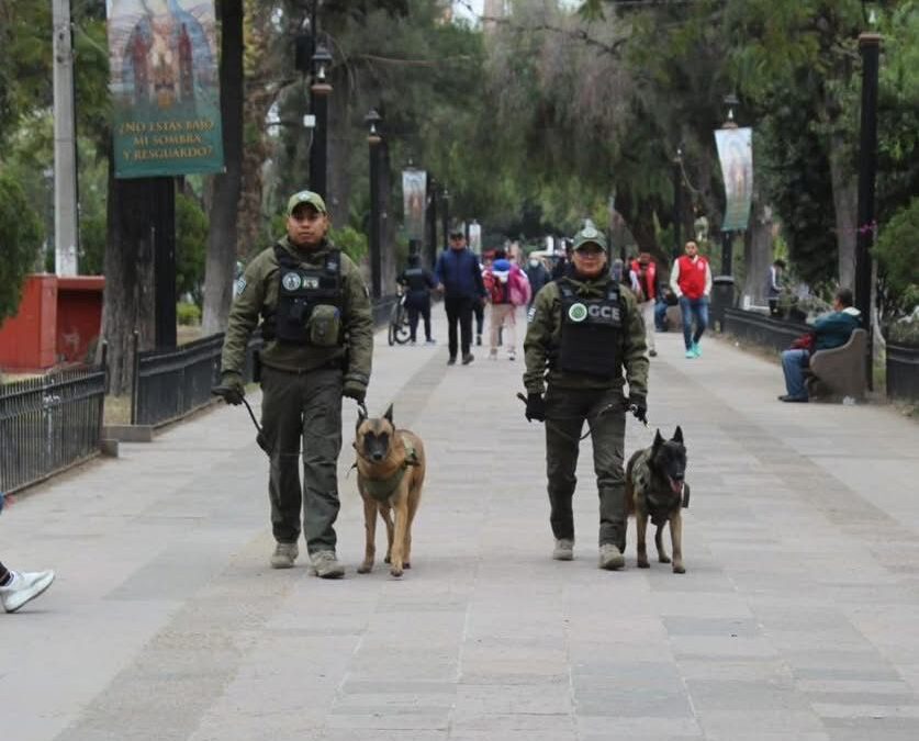 SLP ENTRE LOS ESTADOS CON MENOR INCIDENCIA DE HOMICIDIOS DOLOSOS