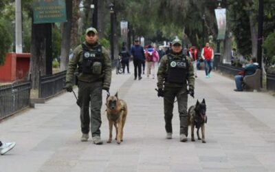 SLP ENTRE LOS ESTADOS CON MENOR INCIDENCIA DE HOMICIDIOS DOLOSOS