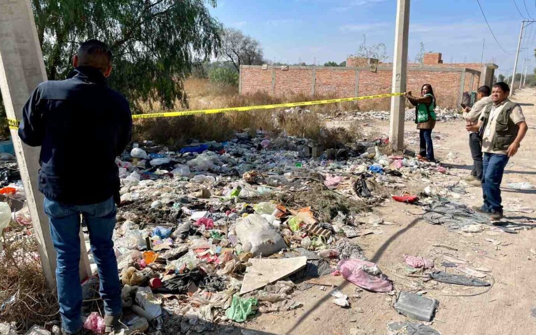 FUERON CLAUSURADOS CINCO TIRADEROS CLANDESTINOS EN EL ESTADO