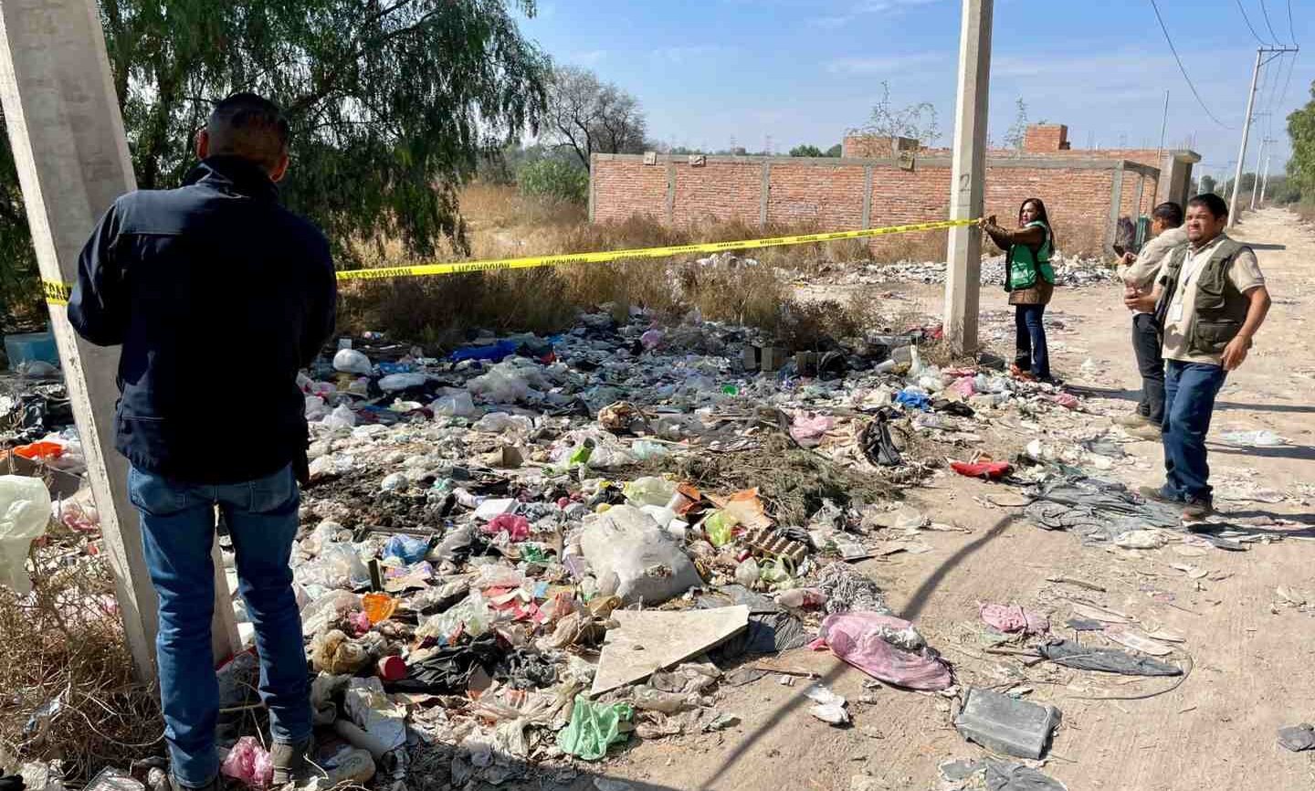 FUERON CLAUSURADOS CINCO TIRADEROS CLANDESTINOS EN EL ESTADO