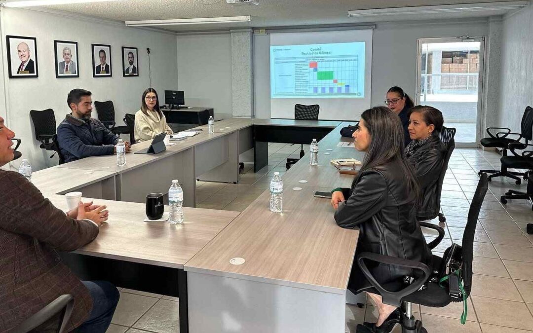 CAPACITAN A AUDITORES EXTERNOS ESPECIALIDADOS DE SLP EN MATERIA DE EQUIDAD LABORAL