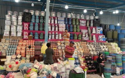 ABRE FENAPO CONVOCATORIA PARA GRITONES EN EL RECINTO FERIAL