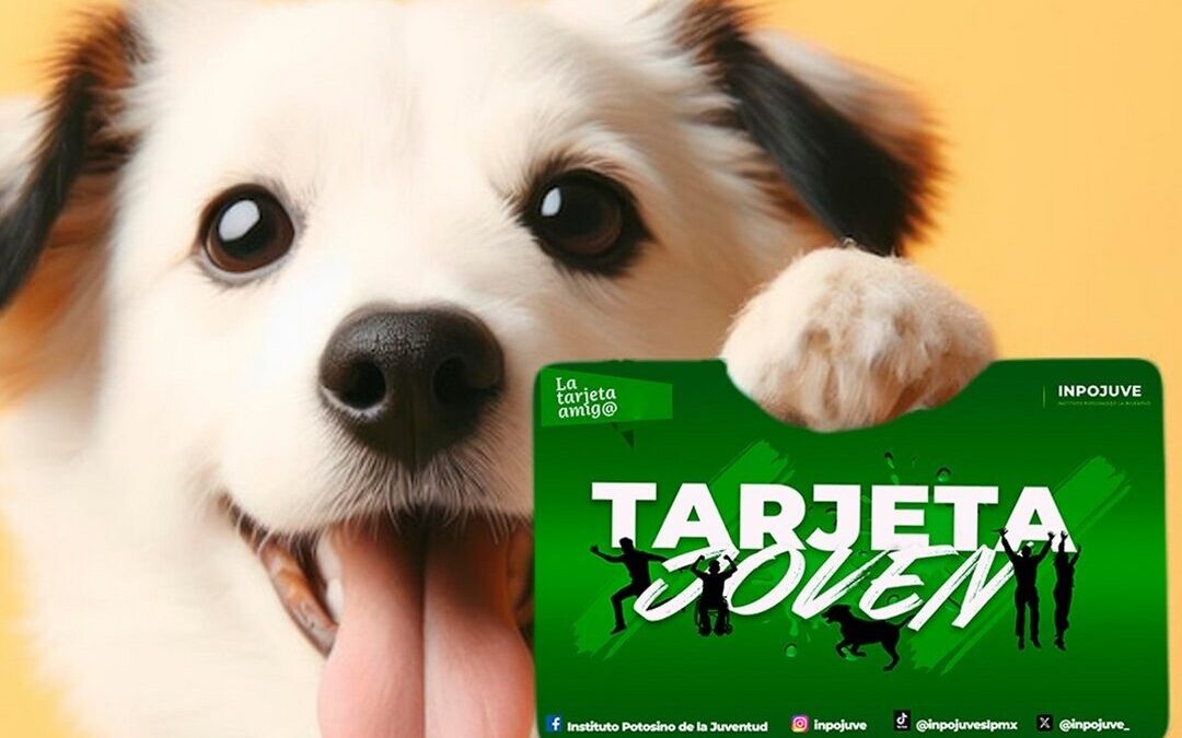 BRINDARÁN APOYOS A JÓVENES POTOSINOS Y SUS MASCOTAS  