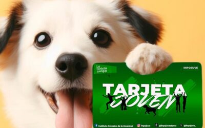 BRINDARÁN APOYOS A JÓVENES POTOSINOS Y SUS MASCOTAS  