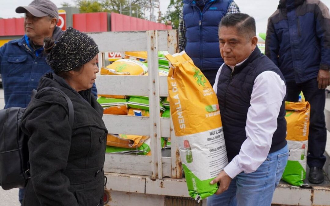 ENTREGAN SEMILLAS DE MAÍZ A PRODUCTORES AGRÍCOLAS DE LA HUASTECA