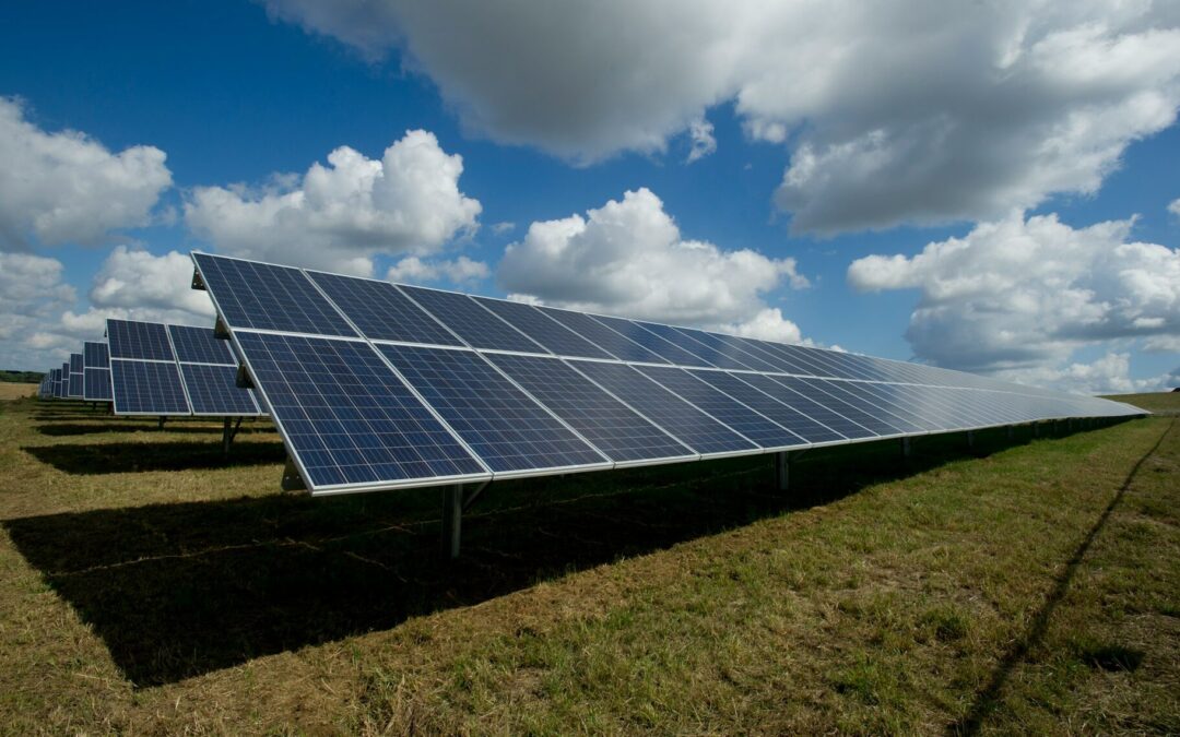 IMPULSARÁN NEGOCIOS VERDES E INCLUSIÓN DE GRUPOS VULNERABLES EN SLP