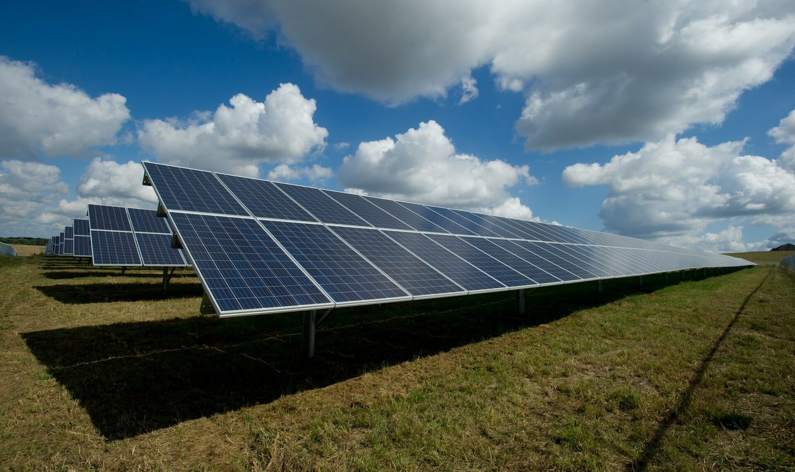 IMPULSARÁN NEGOCIOS VERDES E INCLUSIÓN DE GRUPOS VULNERABLES EN SLP